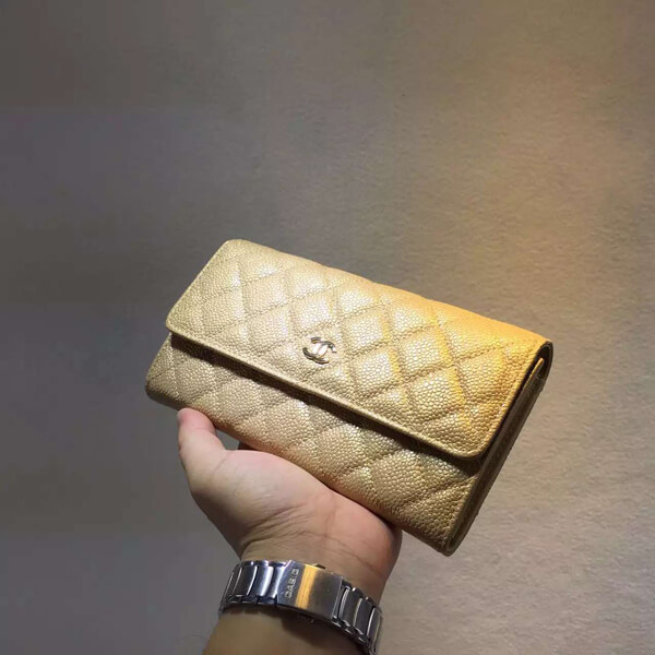 2015春夏新作 シャネルスーパーコピー《少数入荷 美グラデ 》 Zip Wallet